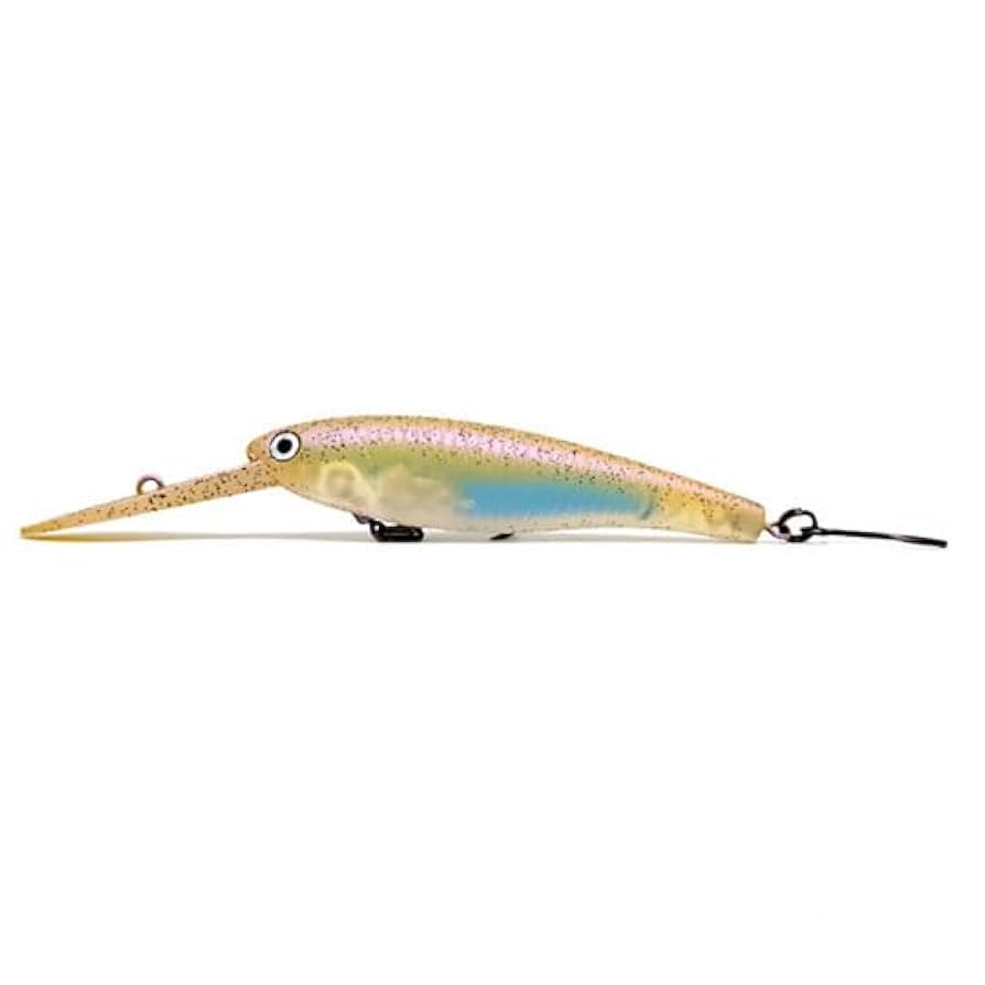 ハンクルシャッド65 5点 Amazon.co.jp: ハンクル シャッド 65 SR エリアVer 2016年発売